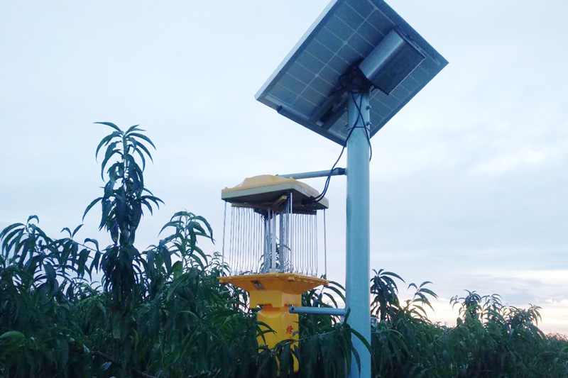 太阳能杀虫灯哪家比较好？贵州四川自动清虫杀虫灯厂家
