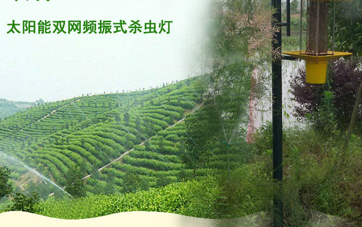 高杆式太阳能杀虫灯应用于江西会昌县林业图片