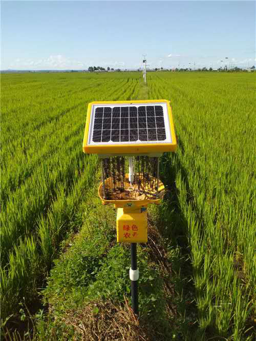黑龙江延寿水稻种植基地使用太阳能杀虫灯案例